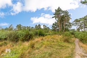 Heathlands - click for photo gallery